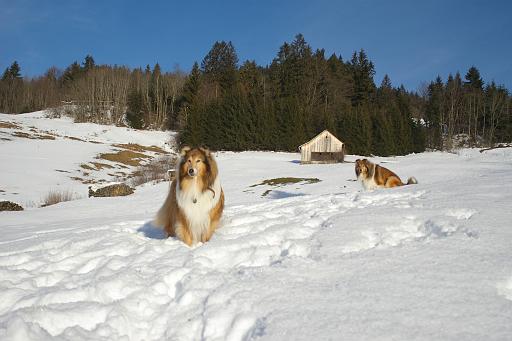 Fotos f. Homepage Galerie 016